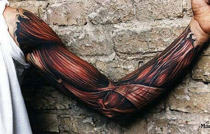 Muscle Tattoo
