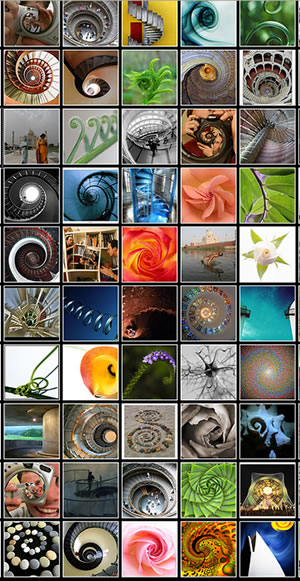 Spirals